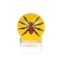 Florin • Spider Implosion Marble