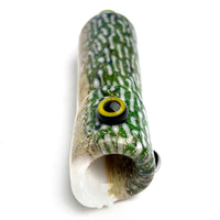 Trapper •  Pike Fish Hitter